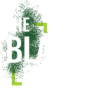 the-blast-zone